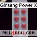 Ginseng Power X 18
